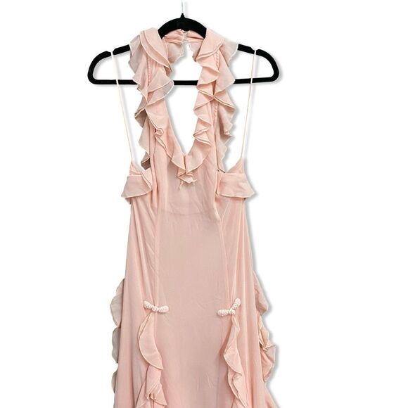 Sau Lee Fiona Dress Baby Pink Ruffle Maxi chiffon gown wedding prom Revolve 4 - Picture 6 of 12